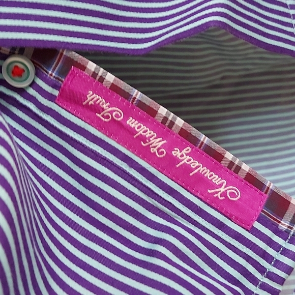 Robert Graham Mint/Purple Striped Long Sleeve Button Down Shirt Size L - Picture 2 of 9